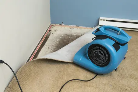 water damage restoration