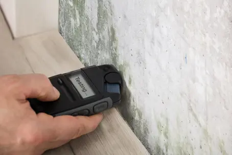 testing mold on wall