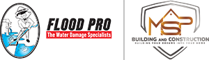 Flood Pro logo